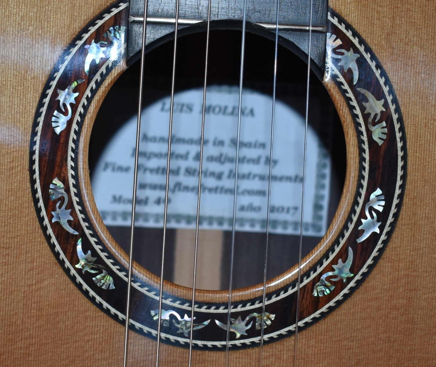 Luis Molina Classical Guitar