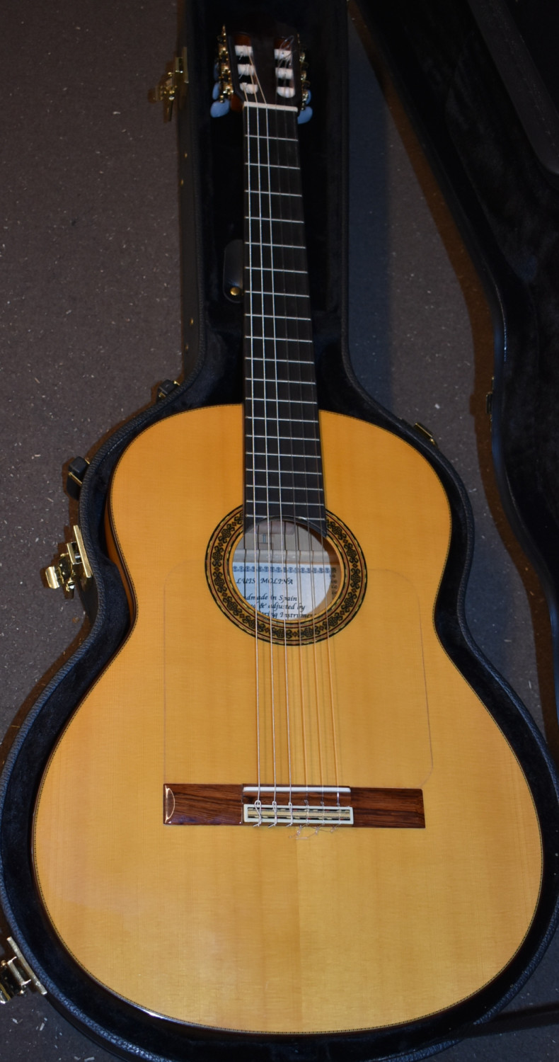 Luis Molina Flamenco Guitar