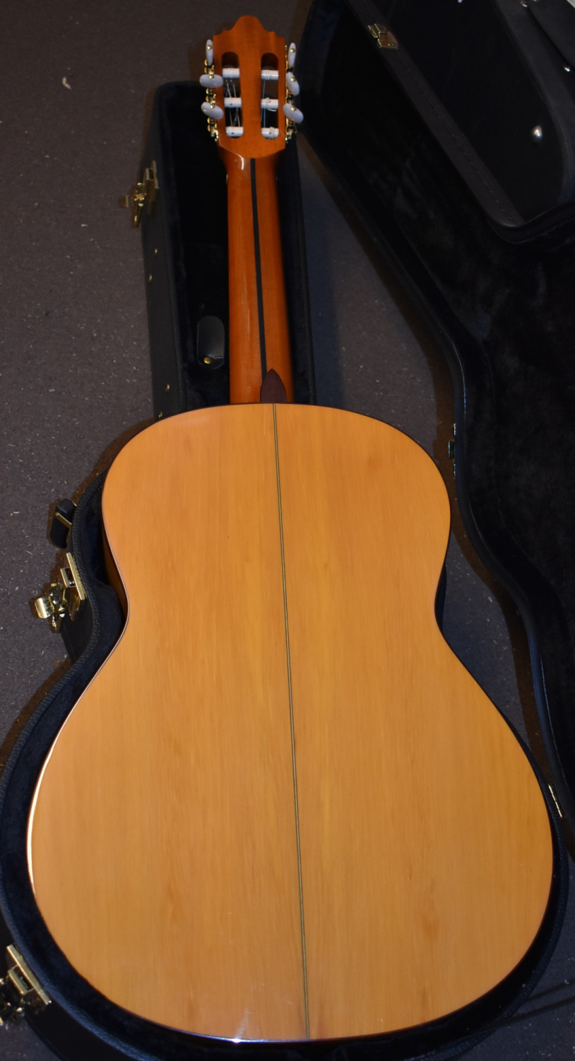 Luis Molina Flamenco Guitar