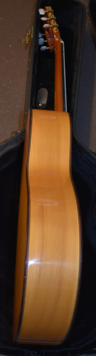 Luis Molina Flamenco Guitar