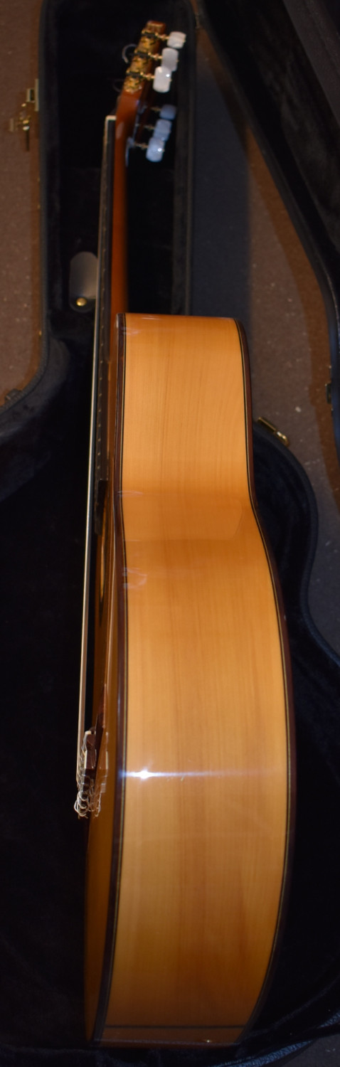 Luis Molina Flamenco Guitar