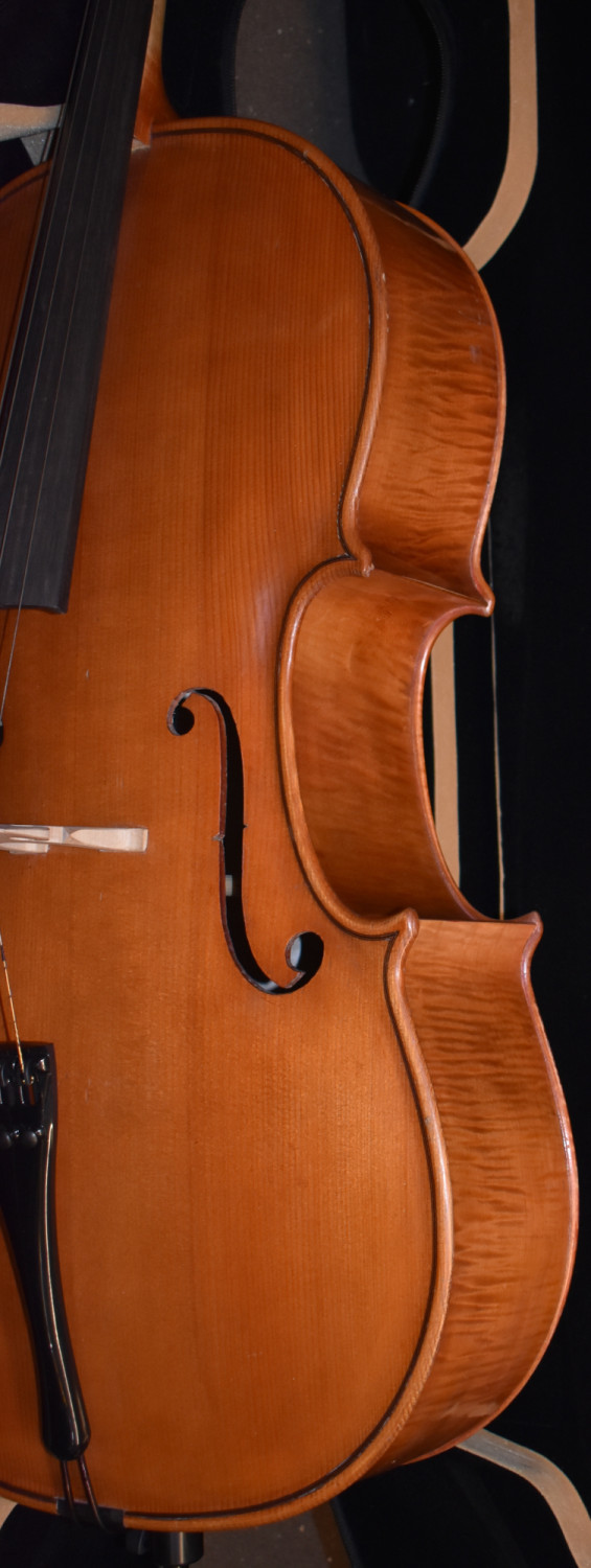 Aldo Cappelli