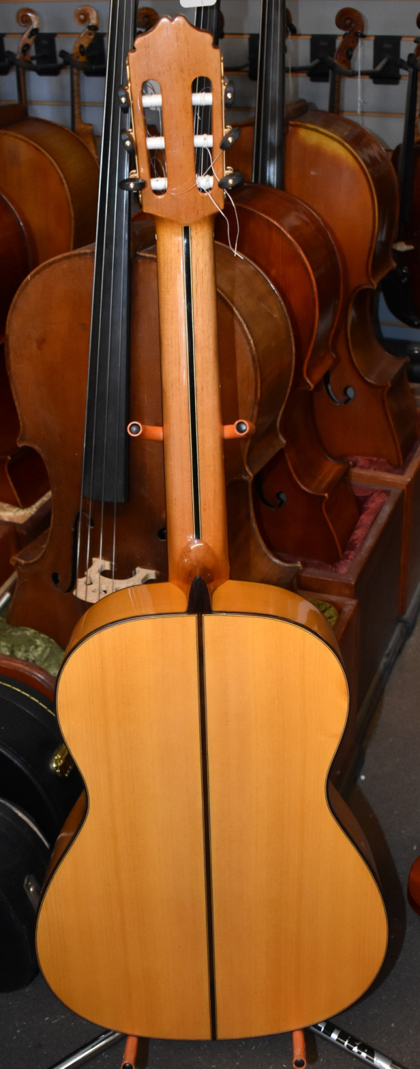 Luis Molina Flamenco Guitar