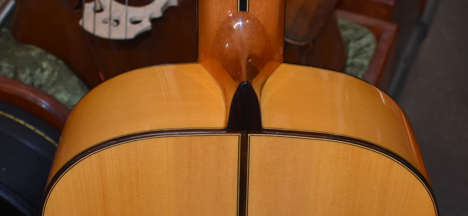 Luis Molina Flamenco Guitar