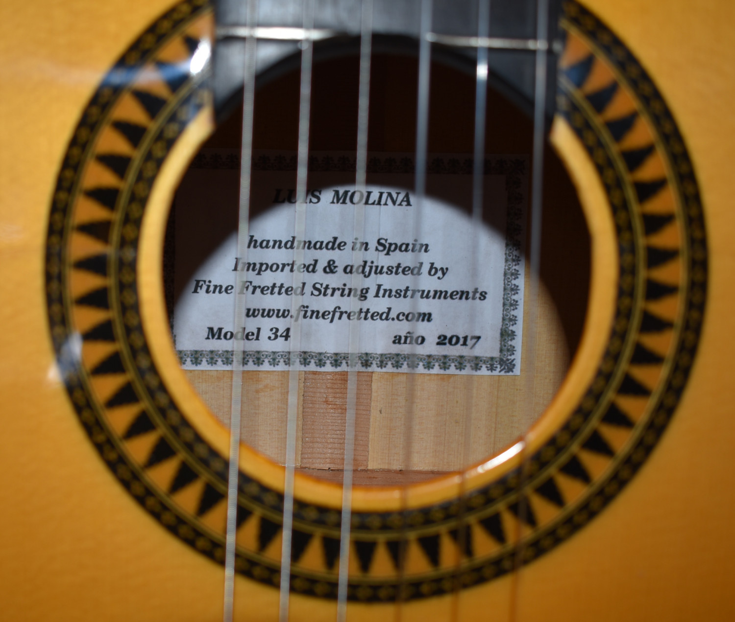 Luis Molina Flamenco Guitar