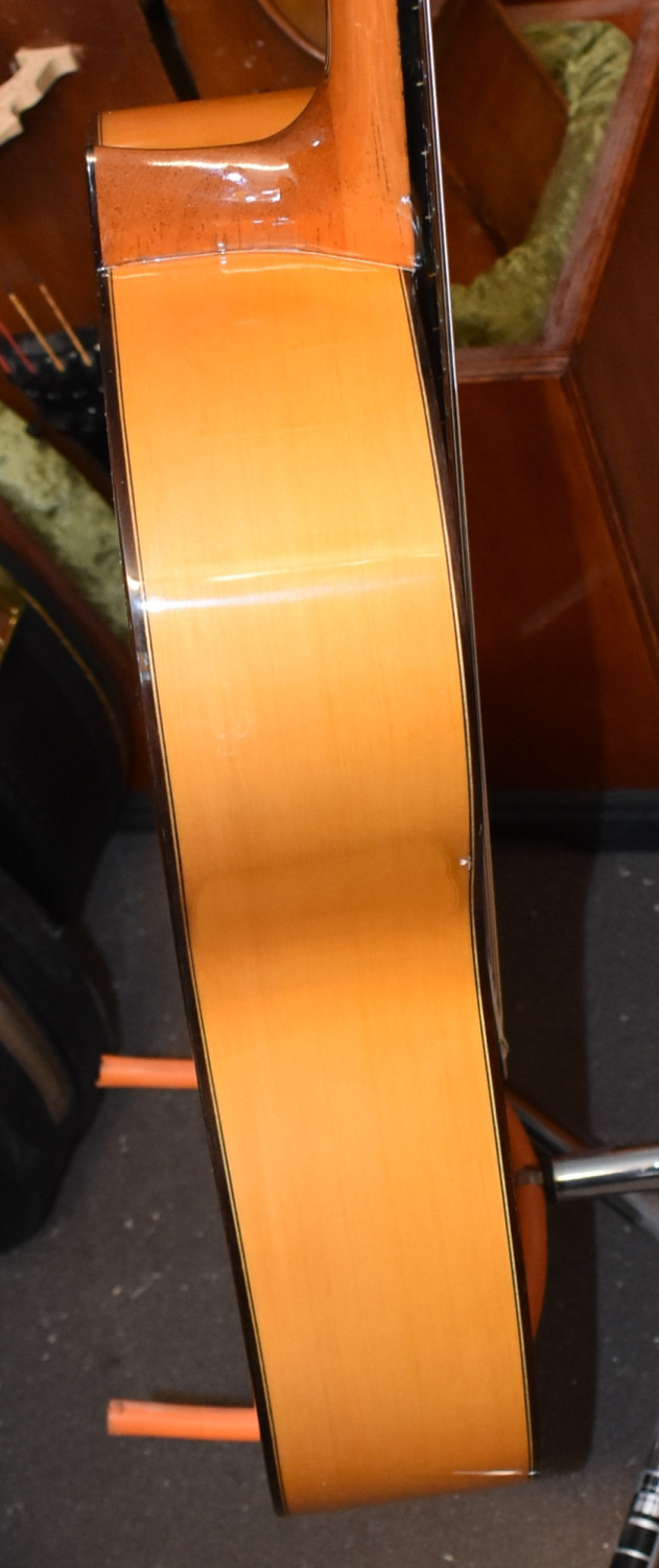 Luis Molina Flamenco Guitar