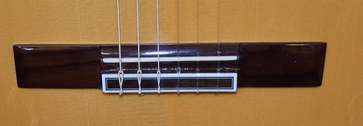 Luis Molina Flamenco Guitar