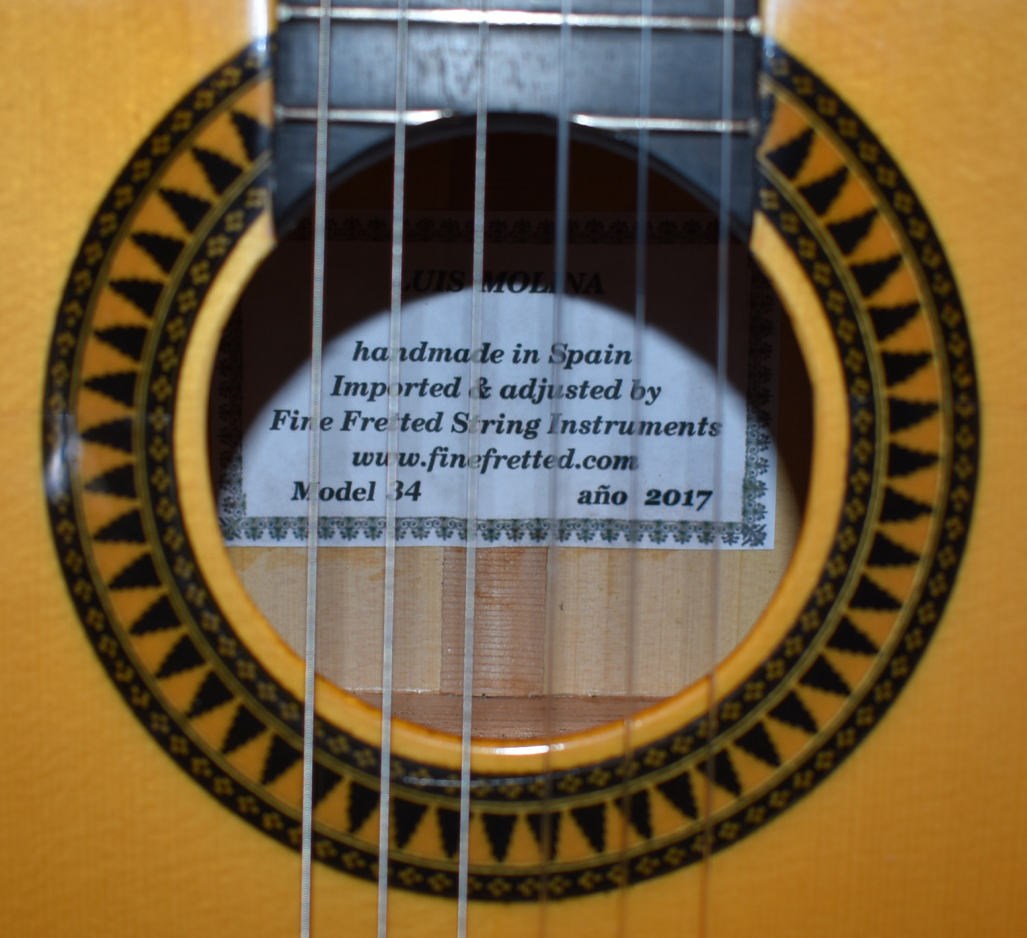 Luis Molina Flamenco Guitar