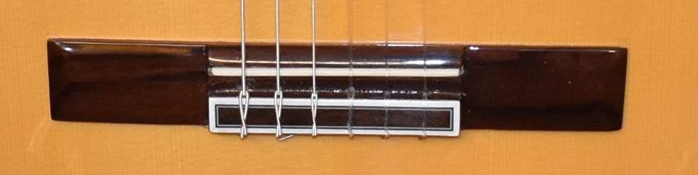 Luis Molina Flamenco Guitar