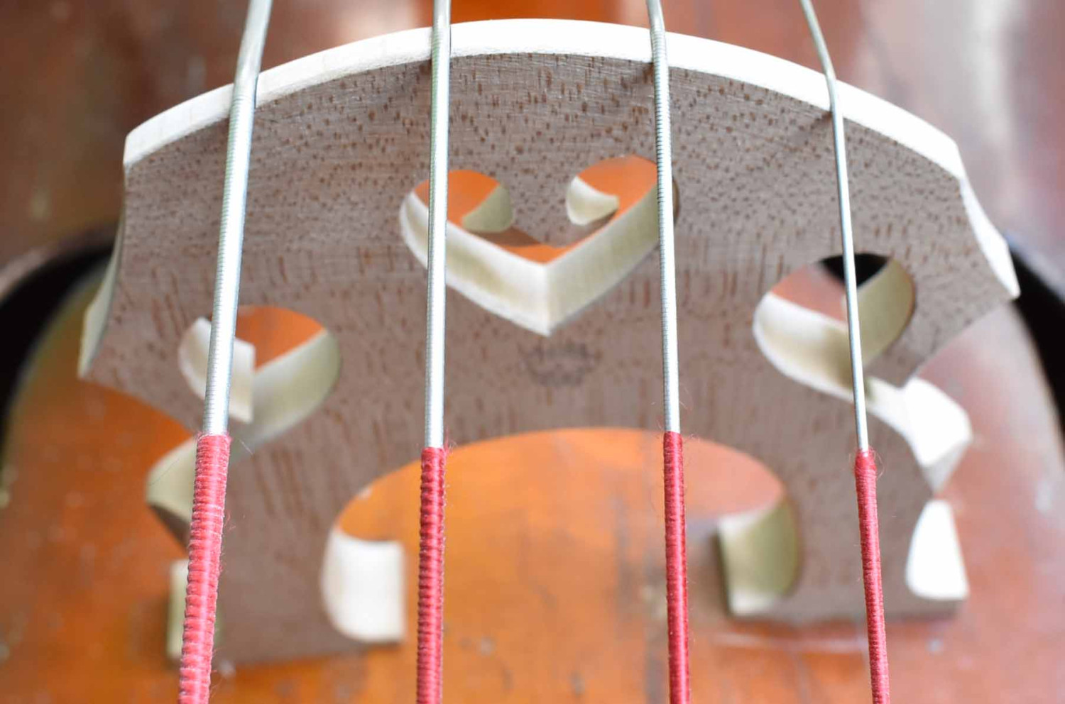 1/4 Double Bass