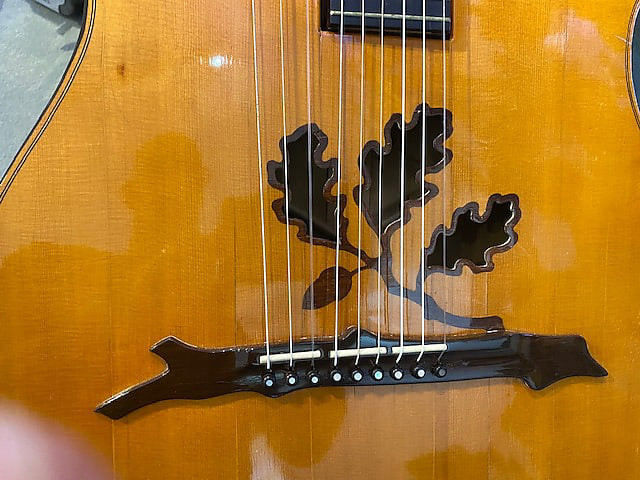 Luigi Mozzani Harp Guitar