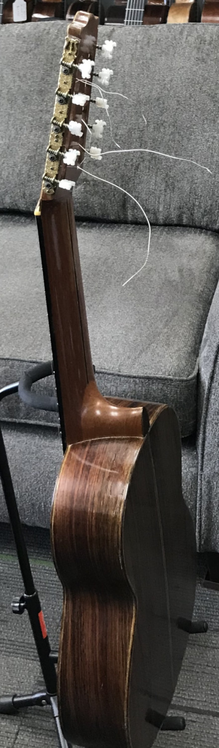10 String Classical Guitar SOLD