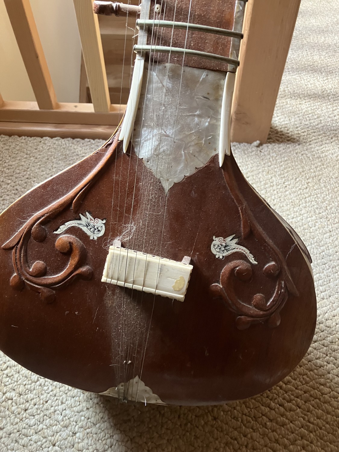 2020 Sitars and Cumbus
